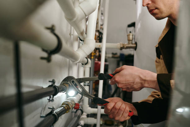 Best Plumbing Inspection Services  in Swansea, IL