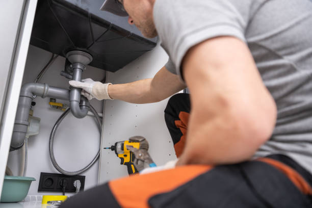 Best Plumbing Services Near Me  in Swansea, IL